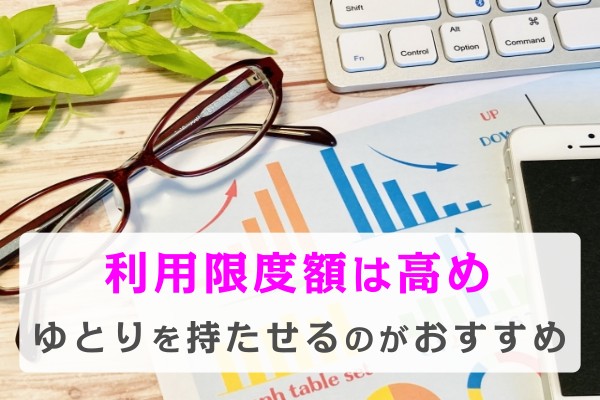 利用限度額は高め。ゆとりを持たせるのがおすすめ