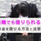 無職でも借りられる！お金を借りる方法と注意点